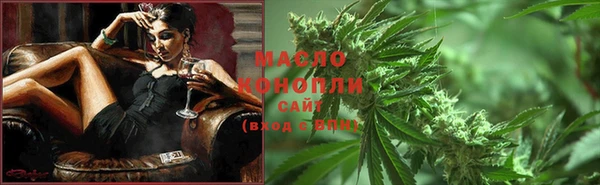 дживик Верхний Тагил