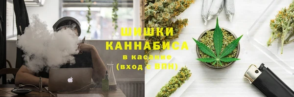 стаф Володарск