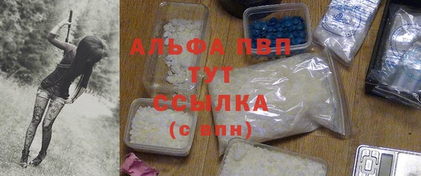 таблы Богданович