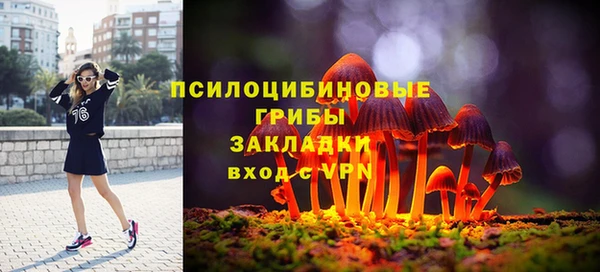 стаф Володарск
