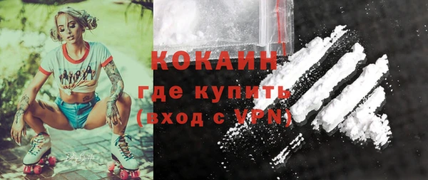 прущие грибы Волосово