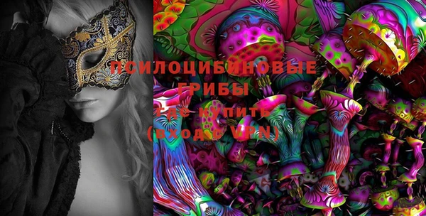 jwh Верея